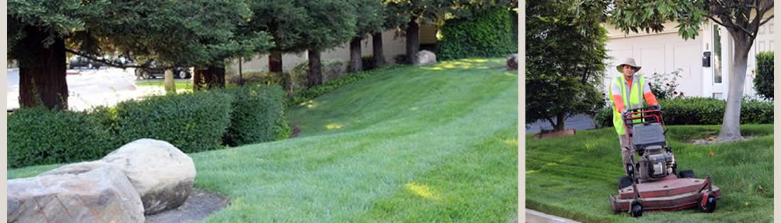 About The Landscape Company Property Landscaping Management