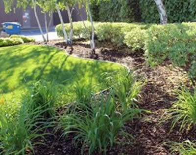 Landscape Maintenance for Commercial/Residential Properties in California