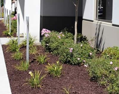 Landscape Maintenance for Commercial/Residential Properties in California