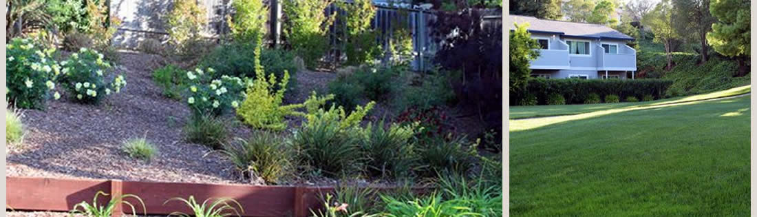 Residential Landscape Services The Landscape Company Property Landscaping Management